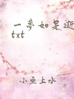 一梦如是逝水长txt