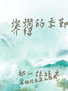 灿烂的季节剧情介绍