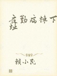 夜勤病栋下载地址