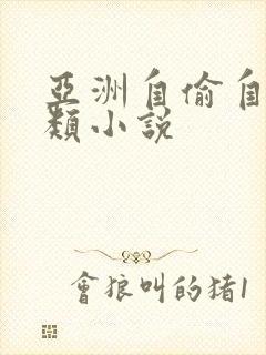 亚洲自偷自拍另类小说