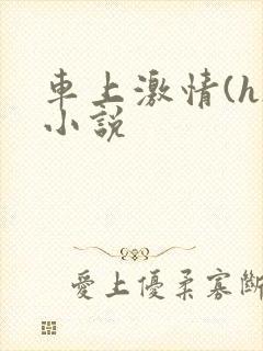 车上激情(h)小说