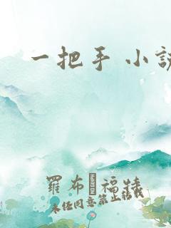 一把手 小说