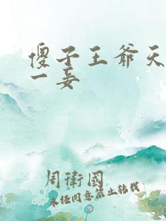 傻子王爷天下第一妾