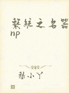 系统之名器攻略np