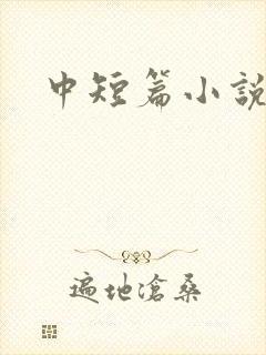 中短篇小说集