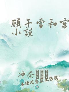 顾千雪和宫凌沨小说
