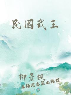 民国武王