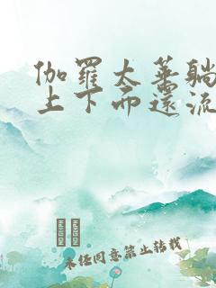 伽罗太华躺在床上下面还流东西