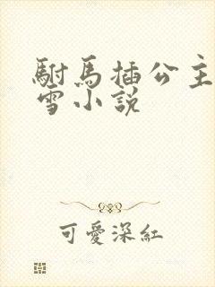 驸马插公主恋战雪小说