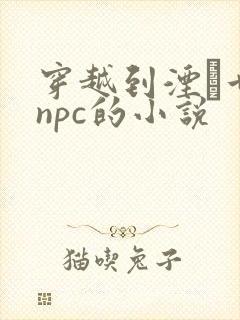 穿越到湮婸世界npc的小说