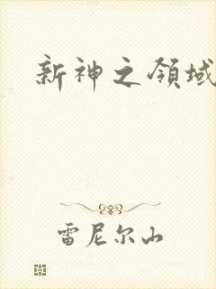 新神之领域