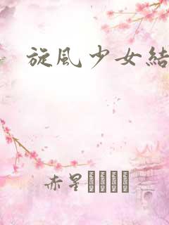 旋风少女结局