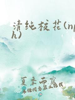 清纯校花(nph)
