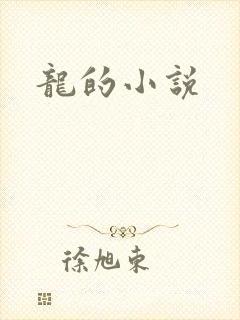 龙的小说