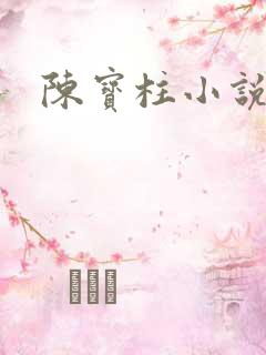 陈宝柱小说