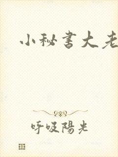 小秘书大老婆