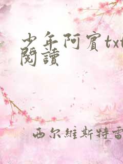 少年阿宾txt阅读