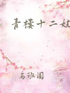 青楼十二妓