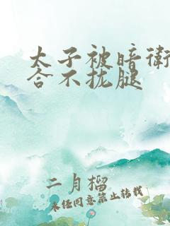 太子被暗卫c到合不拢腿