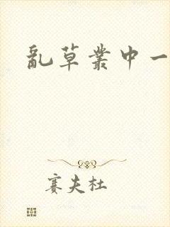 乱草丛中一杆枪