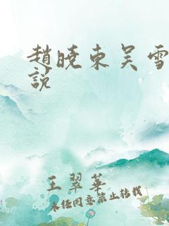 赵晓东吴雪晴小说