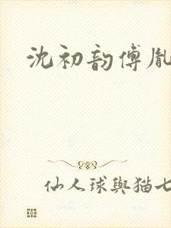 沈初韵傅胤小说