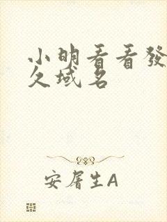 小明看看发布永久域名