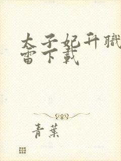 太子妃升职记迅雷下载