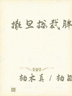 撒旦总裁胖前妻