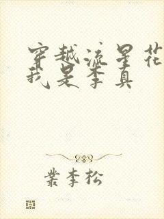 穿越流星花园之我是李真