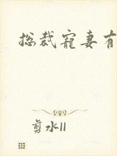 总裁宠妻有点忙