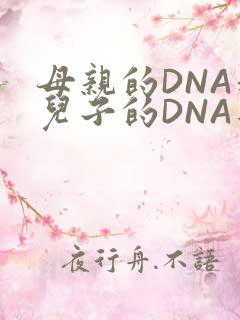 母亲的DNA和儿子的DNA是一样的吗