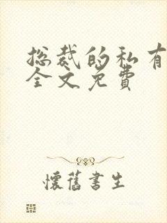 总裁的私有宝贝全文免费