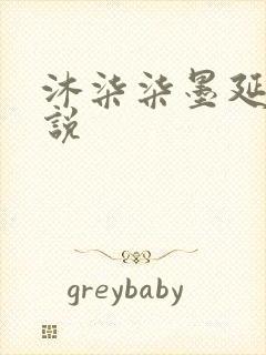 沐柒柒墨延爵小说