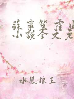 苏宁笙 霍止行小说全文免费阅读