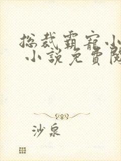 总裁霸宠小娇妻 小说免费阅读