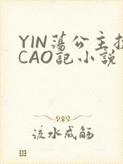 YIN荡公主挨CAO记小说