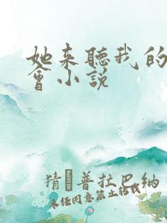 她来听我的演唱会小说