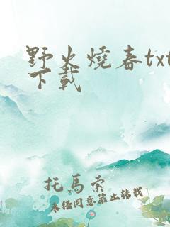 野火烧春txt下载