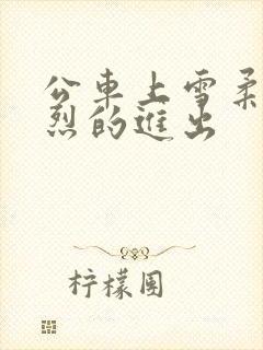 公车上雪柔被猛烈的进出