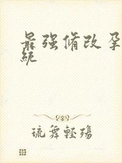 最强修改孕妇系统