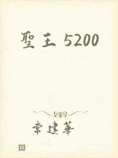 圣王 5200