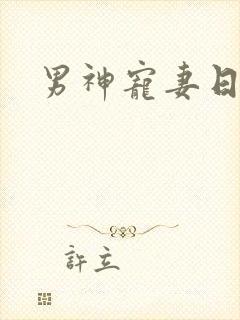 男神宠妻日常
