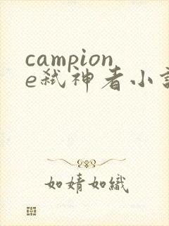 campione弑神者小说