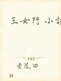 玉女门 小说
