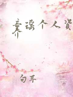 童瑶个人资料简介