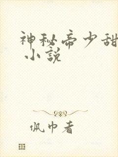 神秘帝少甜宠妻 小说