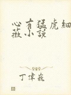 心有猛虎细嗅蔷薇小说