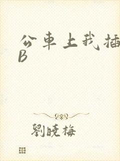 公车上我插上骚B