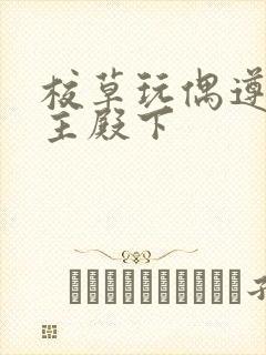 校草玩偶遵命公主殿下